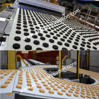 PU & PVC Conveyor Belt